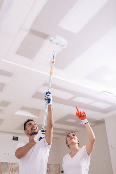 Mold Odor Removal Services in Highlands, TX