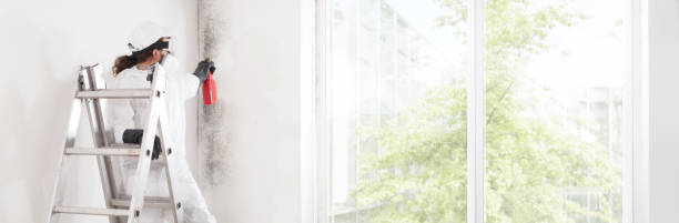Best Indoor Air Quality Assessment  in Highlands, TX